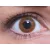 ColourVUE Basic Honey (2 lenses)