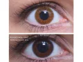 ColourVUE Basic Honey (2 lenses)