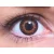 ColourVUE 3 Tones Brown (2 lenses)