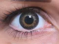 ColourVUE 3 Tones Green (2 lenses)