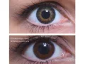 ColourVUE 3 Tones Green (2 lenses)