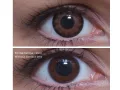 ColourVUE BigEyes Sexy Brown (2 lenses)