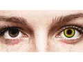 ColourVUE Crazy One-Day Mad Hatter (2 lenses)