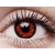 ColourVUE Crazy One-Day Volturi (2 lenses)