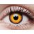 ColourVUE Crazy One-Day Orange Werewolf (2 lenses)