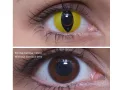 ColourVUE Crazy Cat's Eye (2 lenses)