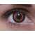 ColourVUE Crazy Twilight (2 lenses)