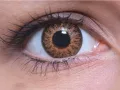 ColourVUE Glamour Honey (2 lenses)