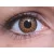 ColourVUE Glamour Honey (2 lenses)