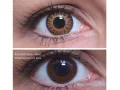 ColourVUE Glamour Honey (2 lenses)