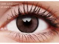 ColourVUE Lumina Shinning Brown (2 lenses)