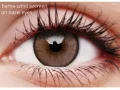 ColourVUE Lumina Shinning Brown (2 lenses)