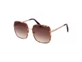 Funky Buddha FB 2025 003 58 Women sunglasses