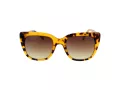 Funky Buddha FB 2038 004 51 Women sunglasses