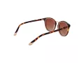 Funky Buddha FB 2046 001 51 Women sunglasses