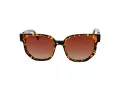 Funky Buddha FB 2052 004 53 Women sunglasses