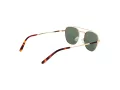 Funky Buddha FB 2056 003 54 Men sunglasses