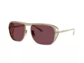 Ferrari FH 1014T 302/1E 59 Men, Women sunglasses