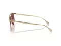 Ferrari FH 1017 106/1E 61 Men sunglasses