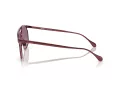 Ferrari FH 1017 120/7J 61 Men sunglasses