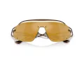 Ferrari FH 1023T 310/7P 132 Men, Women sunglasses
