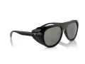 Ferrari FH 2002QU 501/5C 57 Men, Women sunglasses