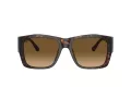 Ferrari FH 2003U 702/M2 56 Men, Women sunglasses