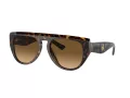 Ferrari FH 2005U 702/M2 56 Men, Women sunglasses