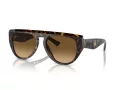 Ferrari FH 2005U 702/M2 56 Men, Women sunglasses