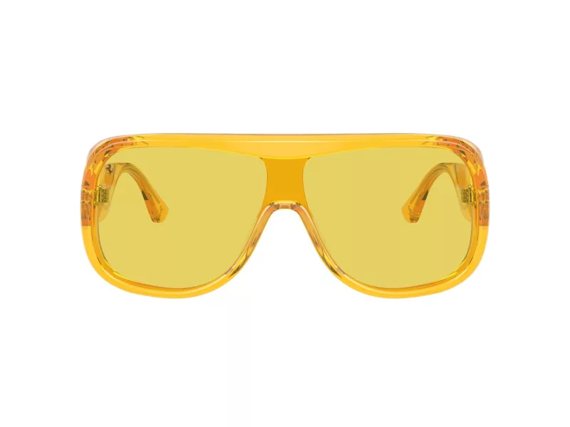 Ferrari FH 2006U 707/V9 138 Women sunglasses