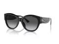 Ferrari FH 2008U 701/T3 57 Women sunglasses