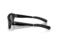 Ferrari FH 2010Q 730/6G 52 Men, Women sunglasses