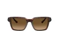 Ferrari FH 2011U 725/M2 55 Men, Women sunglasses