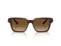 Ferrari FH 2011U 725/M2 55 Men, Women sunglasses