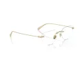 Ferrari FH 3002TD 302 55 Men, Women glasses