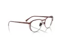 Ferrari FH 3004T 307 55 Men, Women glasses