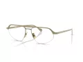 Ferrari FH 3005 122 55 Men, Women glasses