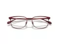 Ferrari FH 3006 120 54 Men glasses