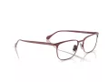 Ferrari FH 3006 120 56 Men glasses