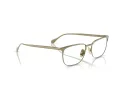 Ferrari FH 3006 122 56 Men glasses
