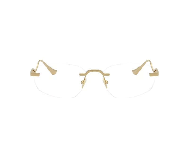 Ferrari FH 3008T 313 55 Men, Women glasses