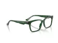 Ferrari FH 4008U 735 55 Men glasses