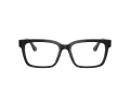 Ferrari FH 4008U 737 55 Men glasses