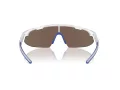 Ferrari Scuderia FZ 6004U 505/55 141 Men, Women sunglasses
