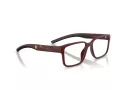 Ferrari Scuderia FZ 8018D 530 55 Men glasses