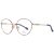 Gianfranco Ferré GFF 0165 006 55 Women glasses