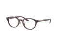 Coach HC 6152D 5677 49 Women glasses