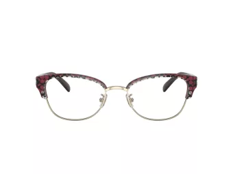 Coach HC 6195 5709 53 Women glasses