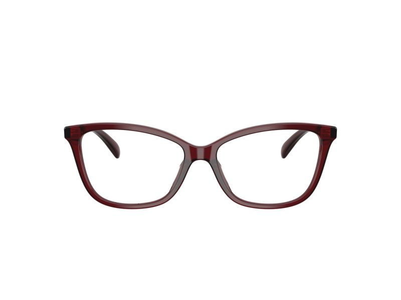 Coach HC 6206U 5393 54 Women glasses