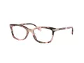 Coach HC 6219U 5528 53 Women glasses